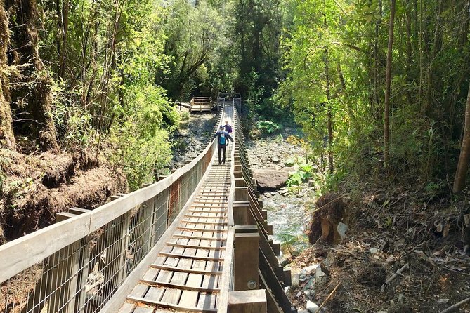 Alerce Andino National Park. - Good To Know