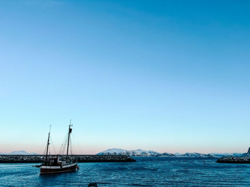 Ålesund: Ålesund and Surrounding Islands Audio Guide Tour - Highlights of the Tour