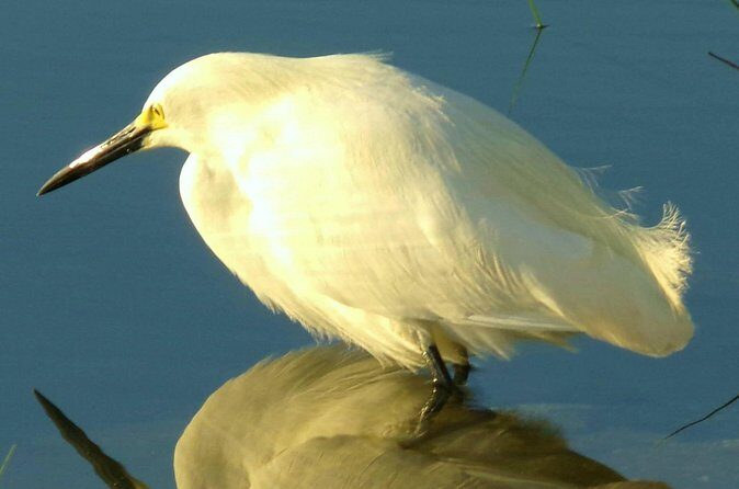 Alexander Springs 4 Hour Guided Kayak/ Swim/ Snorkel Adventure - The Final Verdict: Who Should Sign Up?