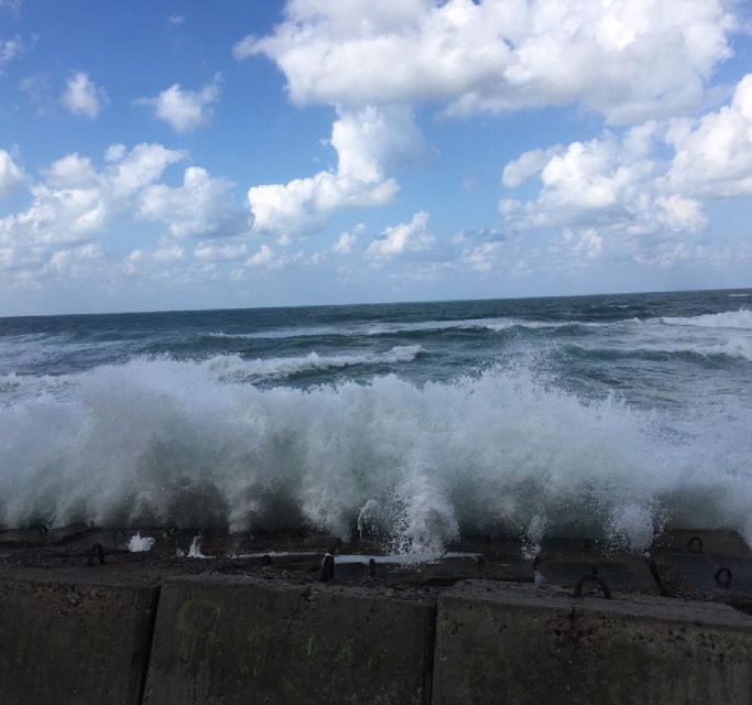 Alexandria: Guided Day Tour with Entry Tickets and Lunch - Tour Overview and Pricing