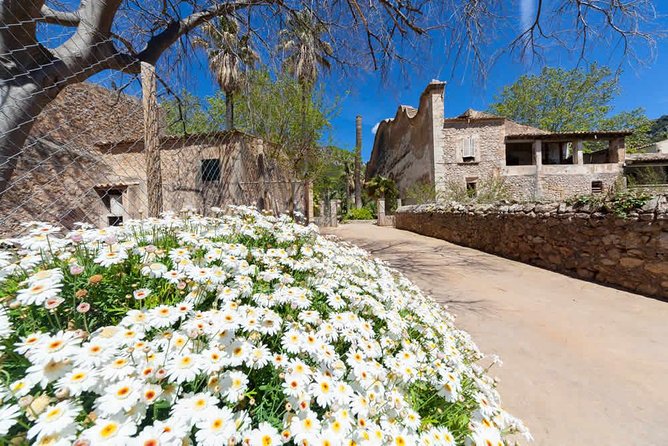 Alfabia Gardens Tickets - Additional Considerations