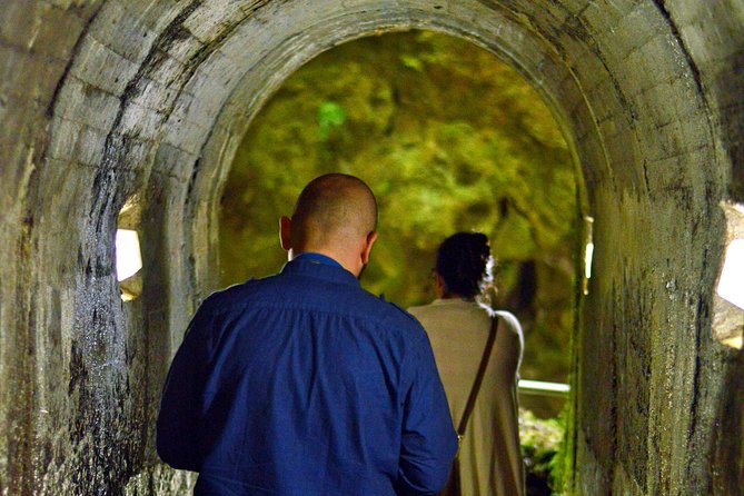 Algar Do Carvão Express: Half Day Tour - Tips for Travelers