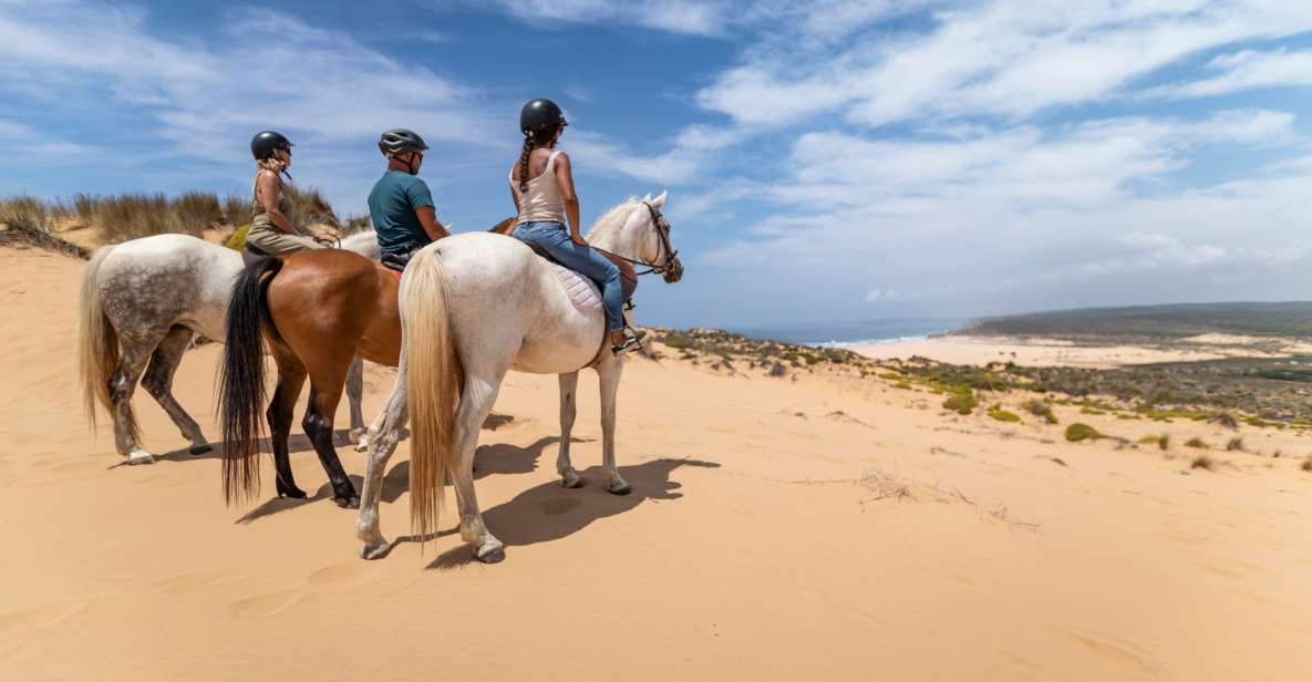 Algarve: 1-Hour Carrapateira Horseback Riding Tour - Key Points