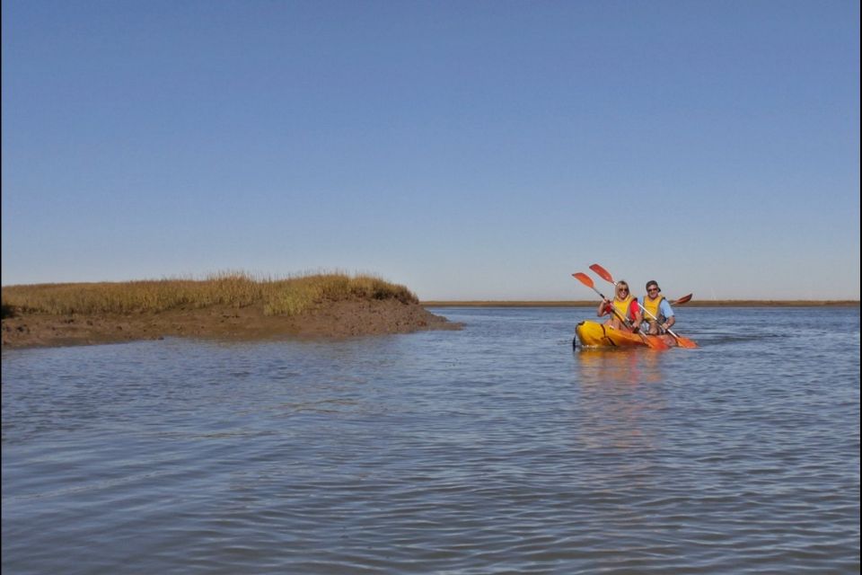 Algarve: 2-Hour Ria Formosa Kayak Tour From Faro - Key Points