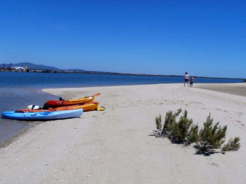 Algarve: 2-Hour Ria Formosa Kayak Tour From Faro - Customer Reviews