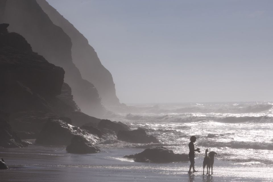 Algarve: Aljezur, Arrifana, and Costa Vicentina Private Tour - Discovering Ponta Da Atalaia
