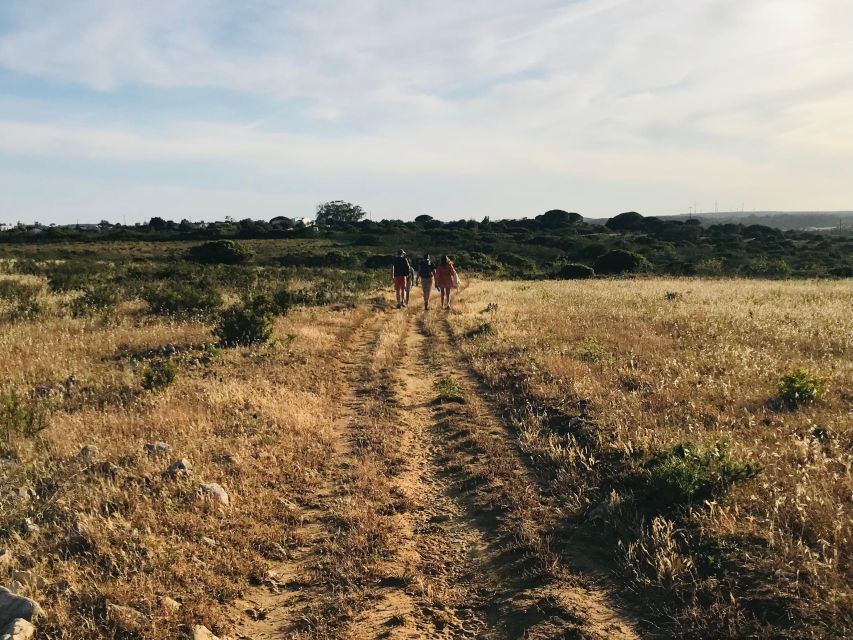 Algarve: Divine Dine in the Wild - Ideal Occasions and Dietary Accommodations