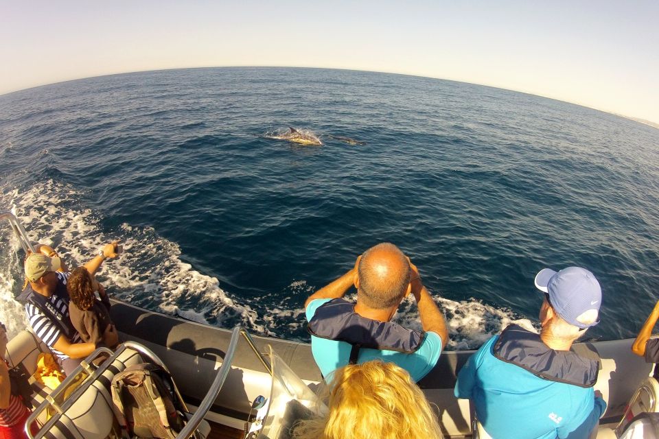 Algarve Dolphin Watching & Marine Life Eco Tour - Booking Information