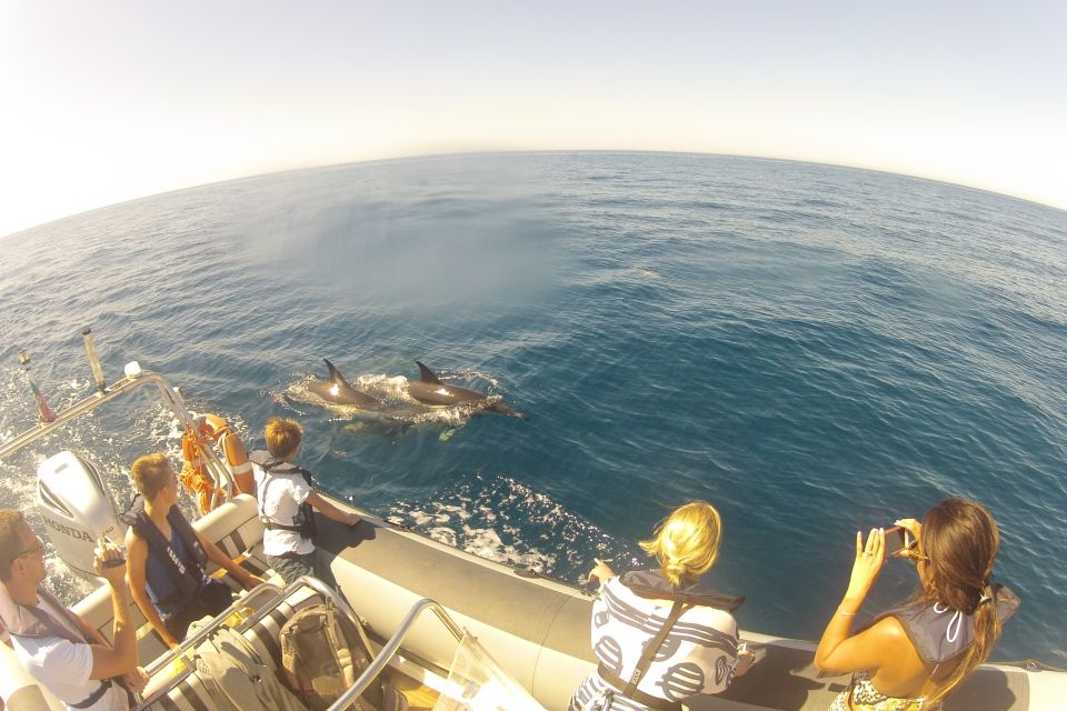 Algarve Dolphin Watching & Marine Life Eco Tour - Customer Reviews