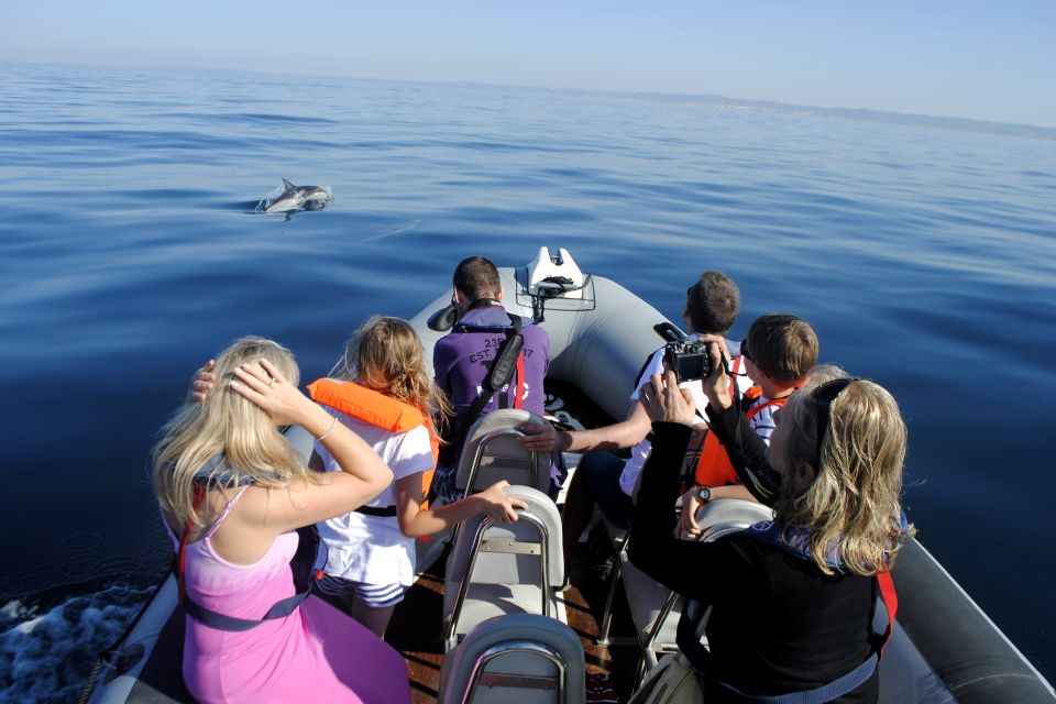 Algarve Dolphin Watching & Marine Life Eco Tour - Restrictions