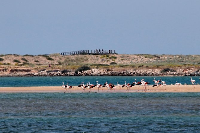 Algarve Full Day Among Moors & Romans - Pickup and Meeting Points