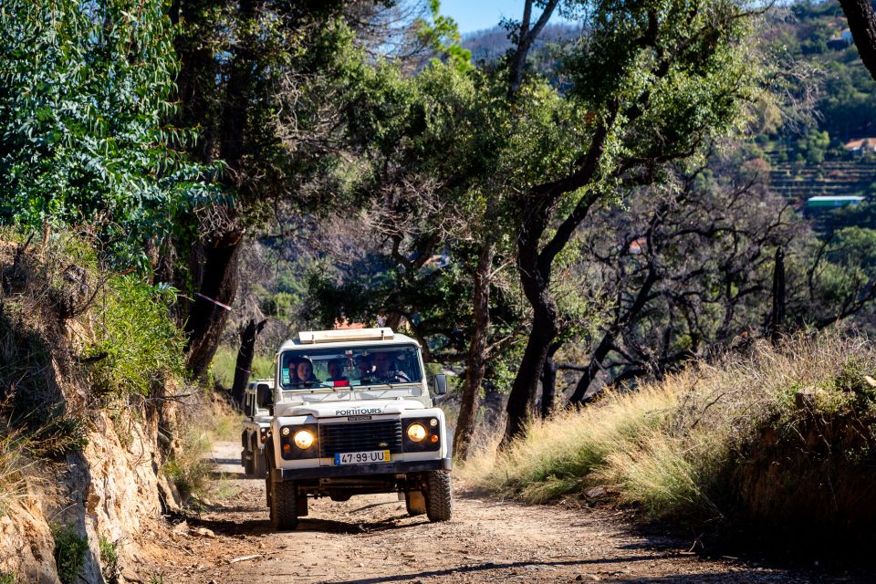 Algarve: Full-Day Boat and Jeep Tour - Inclusions and Pricing
