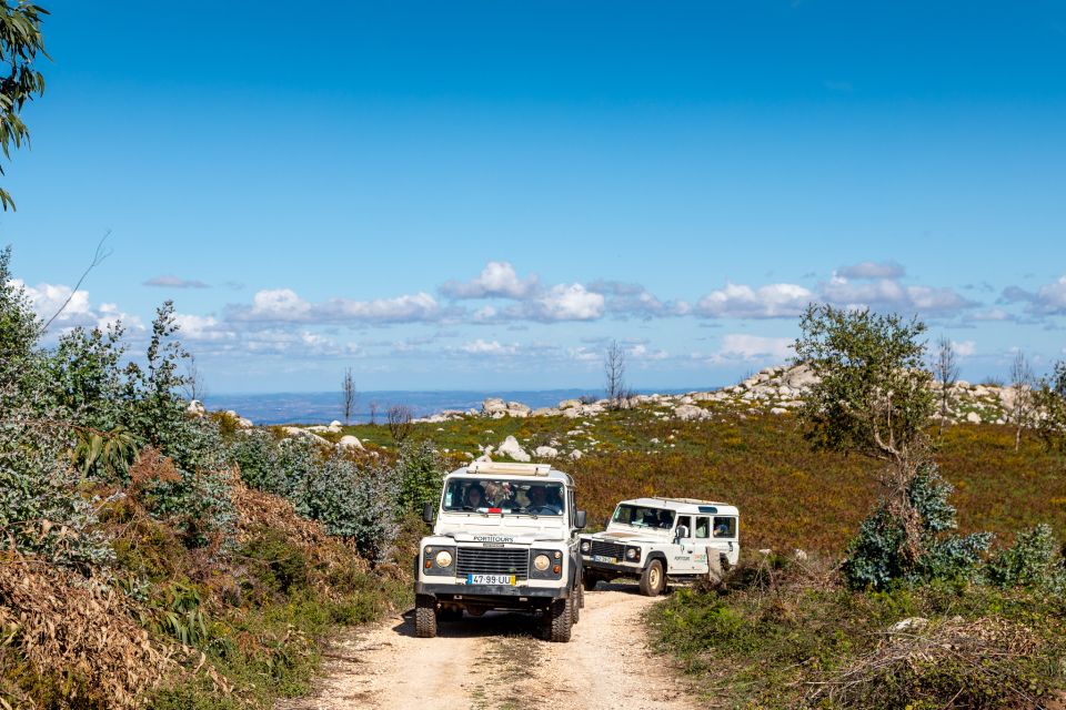 Algarve: Full-Day Guided Sightseeing Tour With Lunch - Pickup and Dropoff