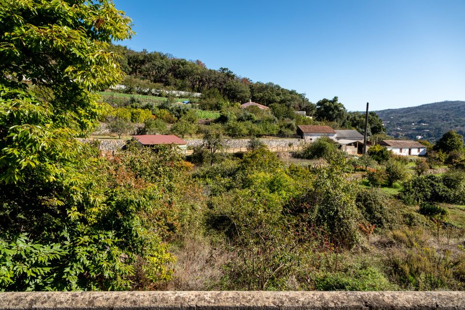 Algarve: Full-Day Guided Sightseeing Tour With Lunch - Caldas De Monchique