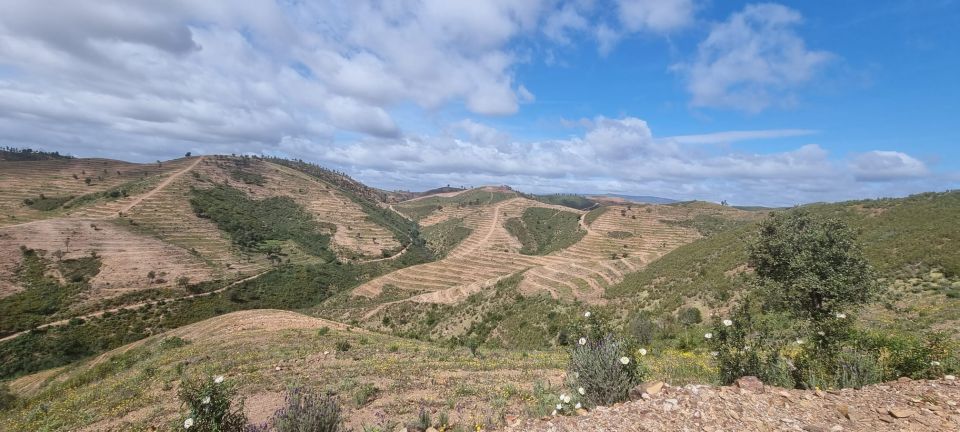 Algarve: Half Day Getaway - 3 Hours off Road Buggy Tour - Key Points