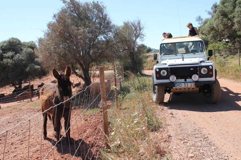Algarve Jeep Safaris Fullday Tour. Explore Algarve - Age and Accessibility Restrictions