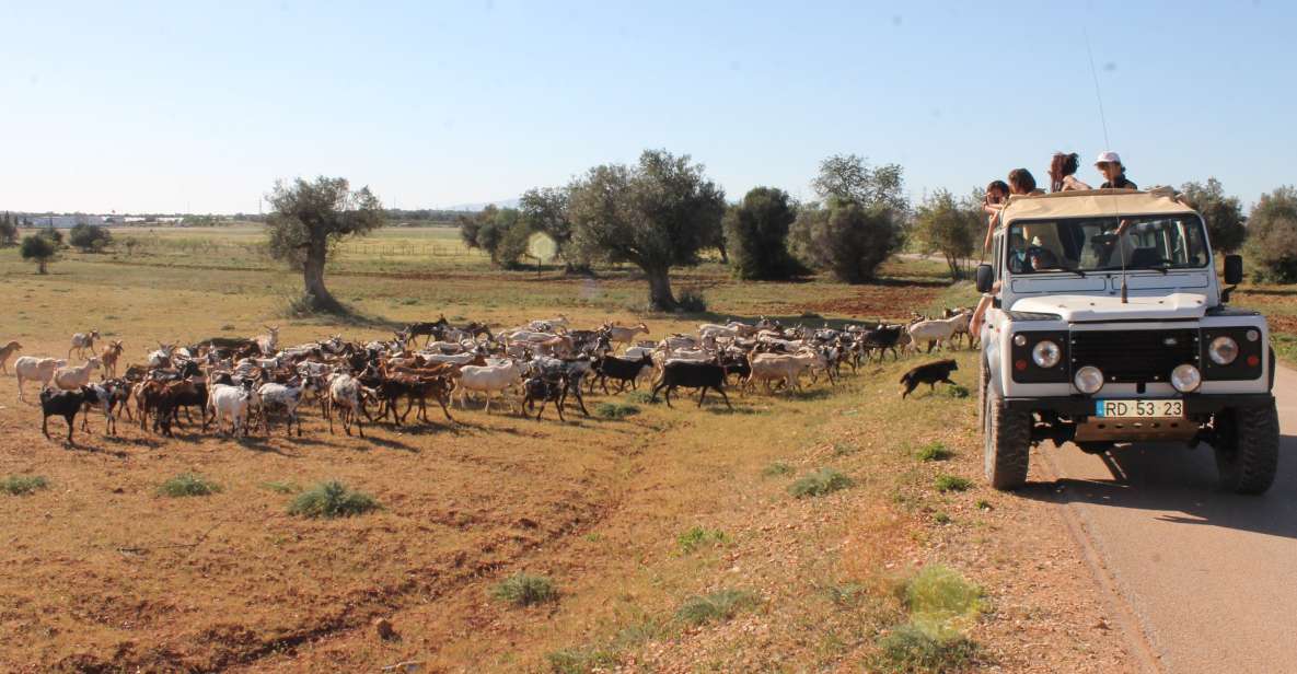 Algarve Jeep Safaris Fullday Tour. Explore Algarve - Frequently Asked Questions