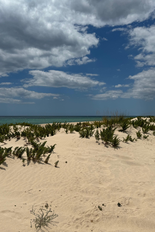 Algarve, Lisbon; V.I.P. Women's road trip with female guide - The Luxury Picnic: A Feast for the Senses