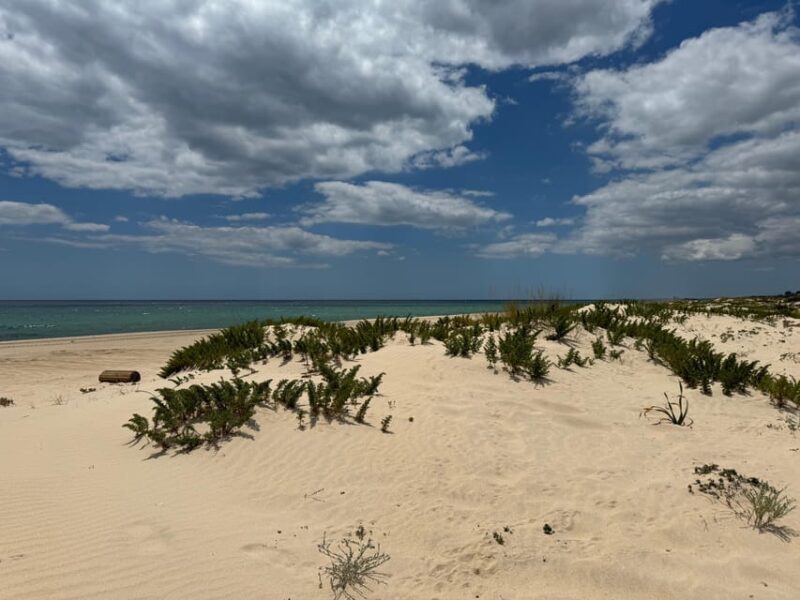 Algarve, Lisbon; V.I.P. Women's road trip with female guide - Who Will Love This Tour?