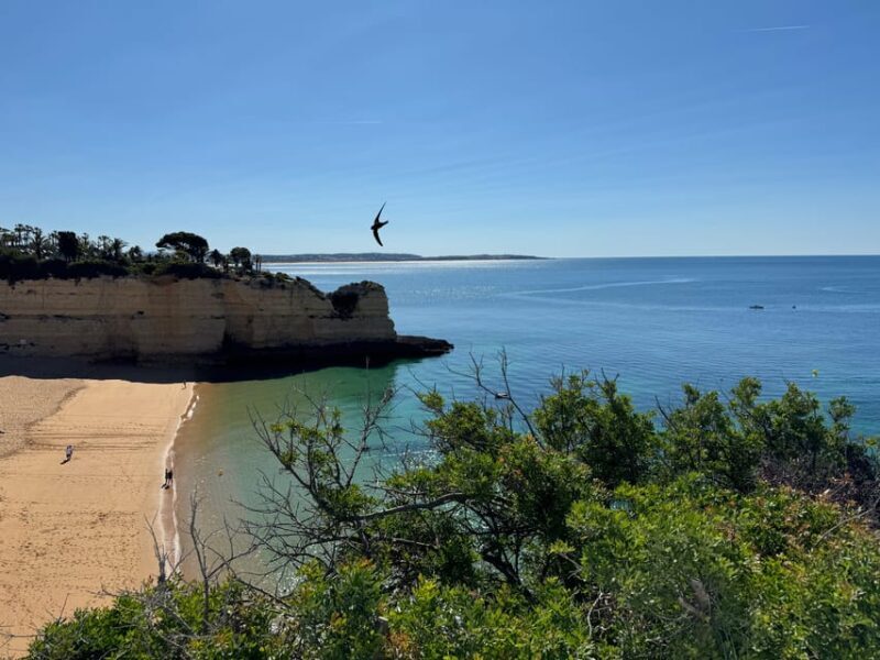 Algarve, Lisbon; V.I.P. Women's road trip with female guide - Final Thoughts: Is It Worth It?