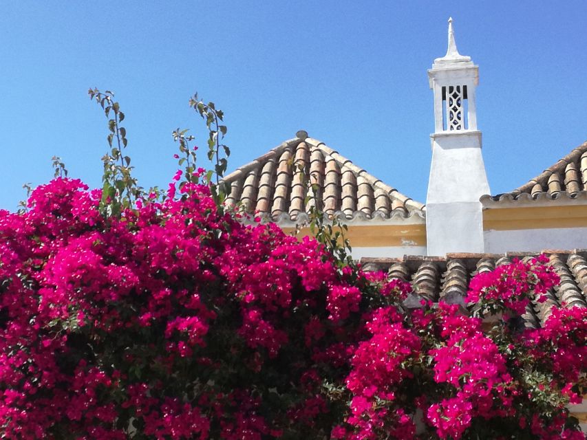 Algarve: Off-the-Beaten-Path Day Trip - Activities