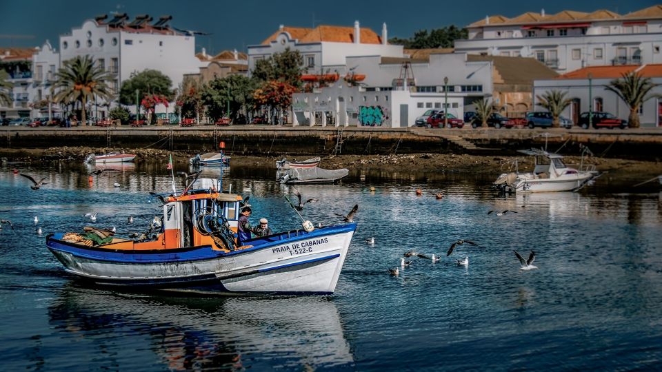 Algarve: Off-the-Beaten-Path Day Trip - Salt Pan Experience