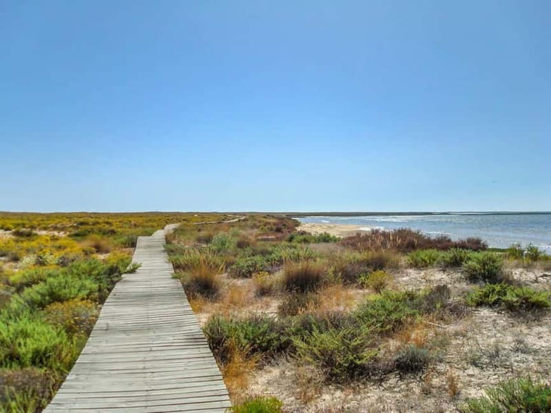 Algarve: Olhão Highlights Tour and Ria Formosa Boat Trip - A Closer Look at the Itinerary