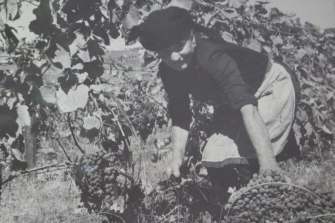 Algarve Romantic Vineyard Picnic in Carvoeiro - Authentic Traveler Feedback