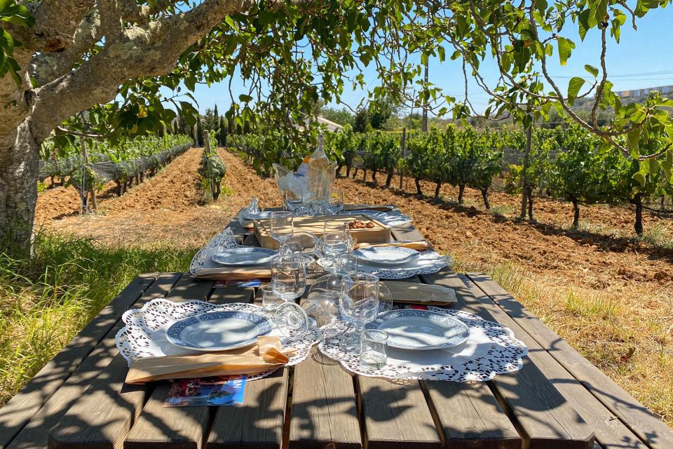 Algarve Seaside Private Tour - Itinerary Highlights