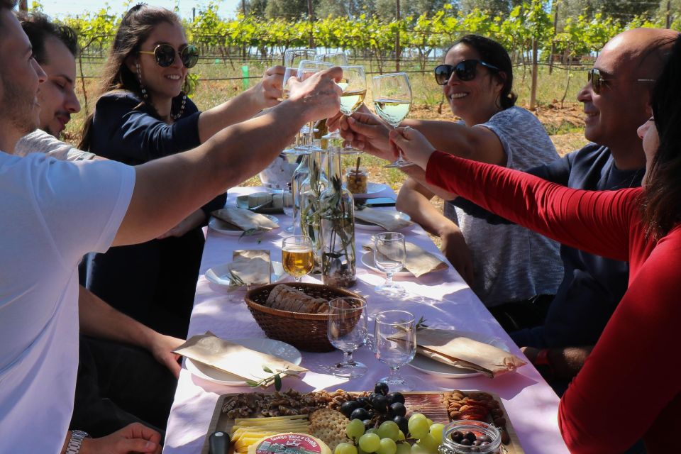 Algarve Seaside Private Tour - Vineyard Gourmet Picnic