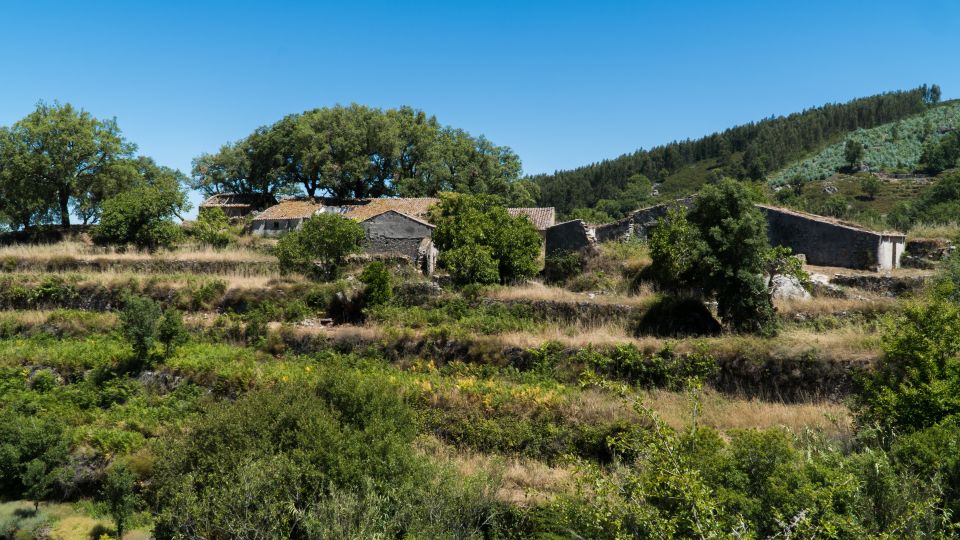 Algarve: Serra De Monchique & Bravura Off-Road Day Trip - Exploring Serra De Monchique