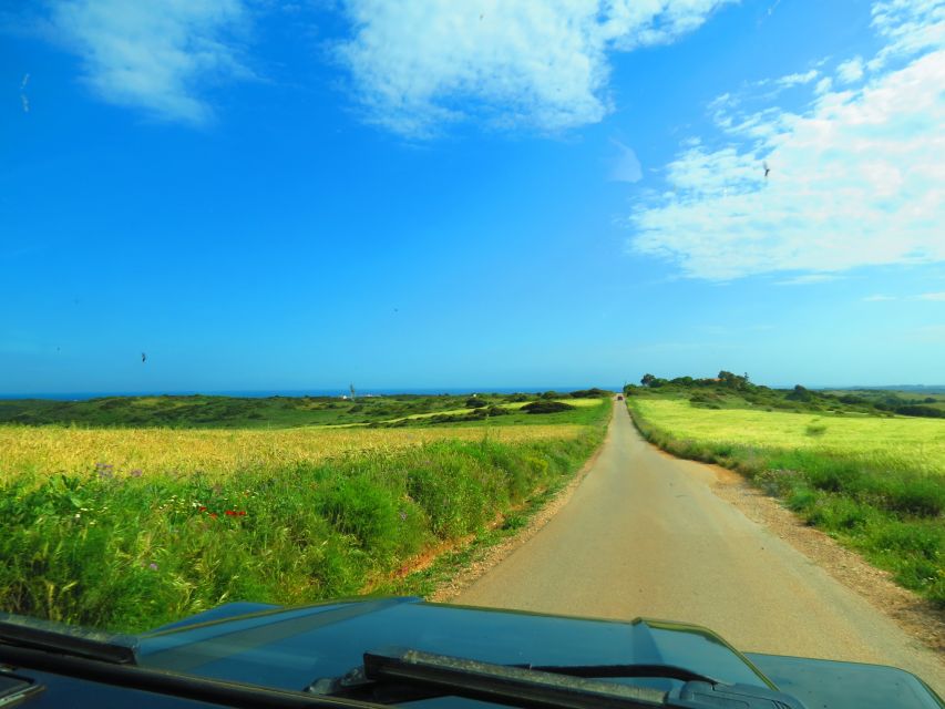 Algarve: Serra De Monchique & Bravura Off-Road Day Trip - Highlights of the Trip