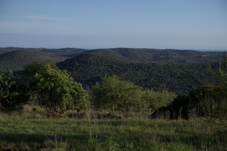 Algarve : the Hinterland in a Volvo XC90 SUV - Exclusive and Customizable Itinerary
