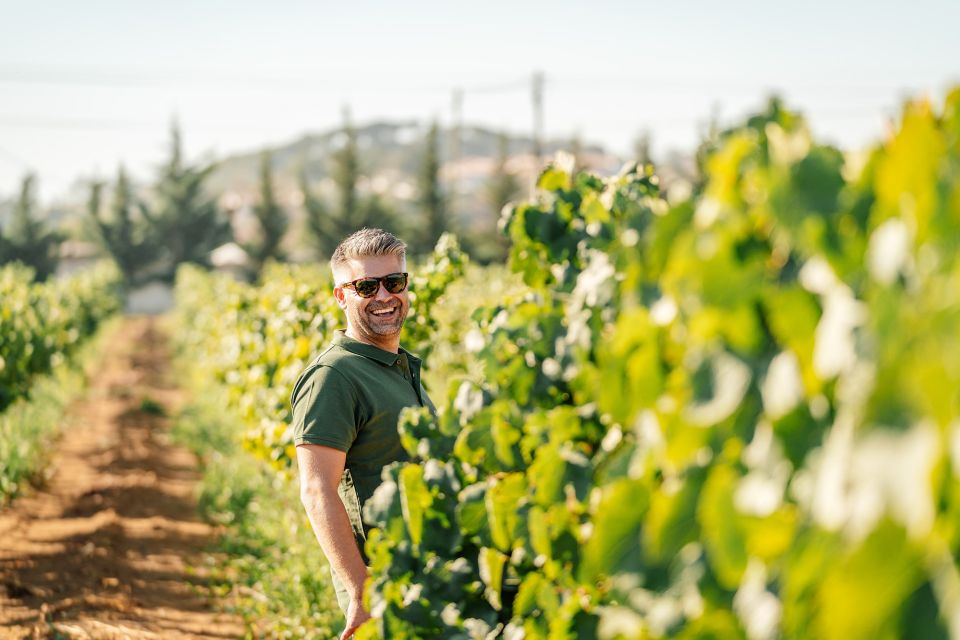 Algarve: Vineyard Tour & Premium Wine Tasting in Silves - What to Expect and Practical Tips