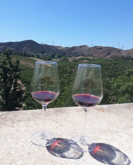 Algarve Wine Tour of two estates guided by wine expert - Key Points