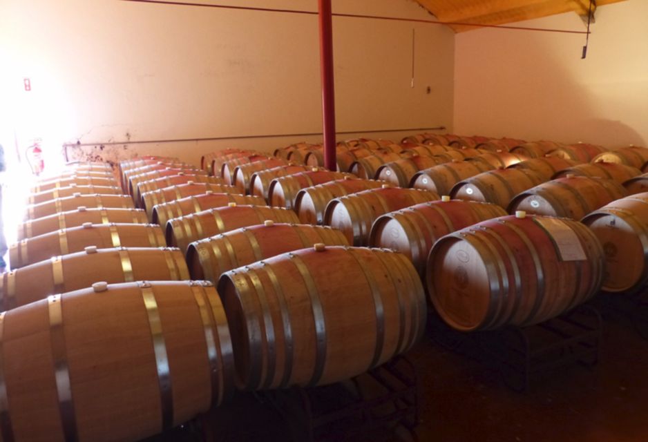 Algarve Wine Tour of Two Estates Guided by Wine Expert - Key Points