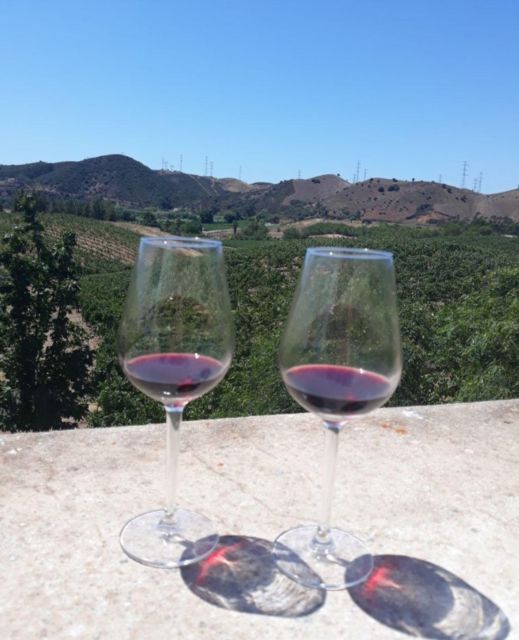 Algarve Wine Tour of Two Estates Guided by Wine Expert - Transportation and Guidance