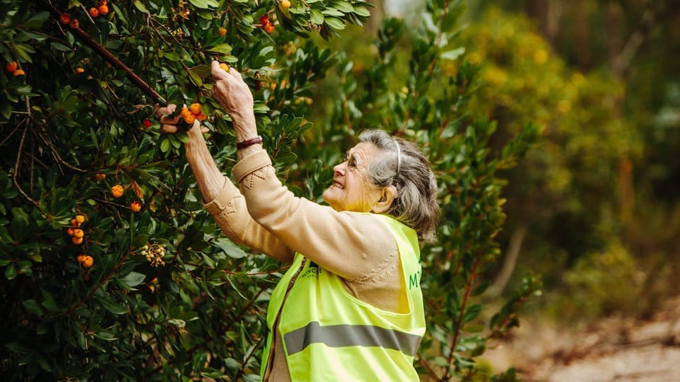 ALGARVE'S ARBUTUS BERRY TRAIL - What’s Not Included and What to Prepare For