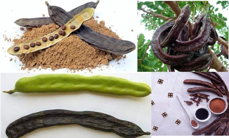 ALGARVE'S CAROB TRAIL - A Deep Dive into the Carob Experience: What to Expect