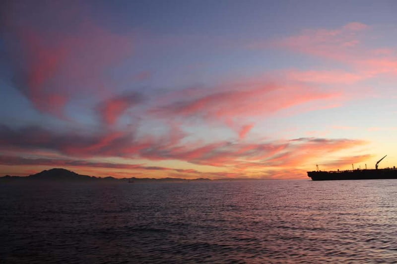 Algeciras: Dolphin and whale watching in reduced groups - Final Thoughts  