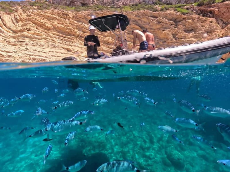 Alghero: Boat Tour and Snorkeling with Aperitif Porto Conte - The Experience: What Sets It Apart