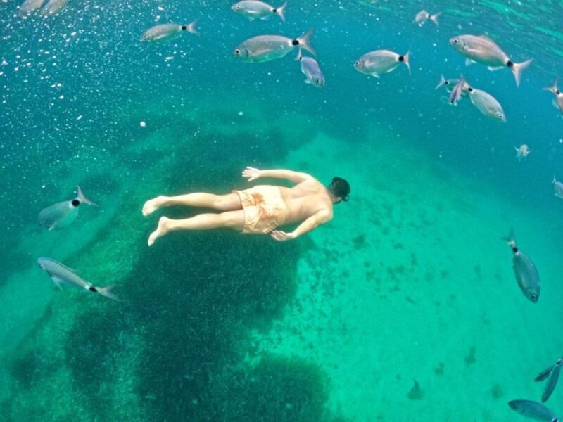 Alghero: Boat Tour with Snorkeling in Porto Conte - Final Thoughts: Who Will Love This Tour?