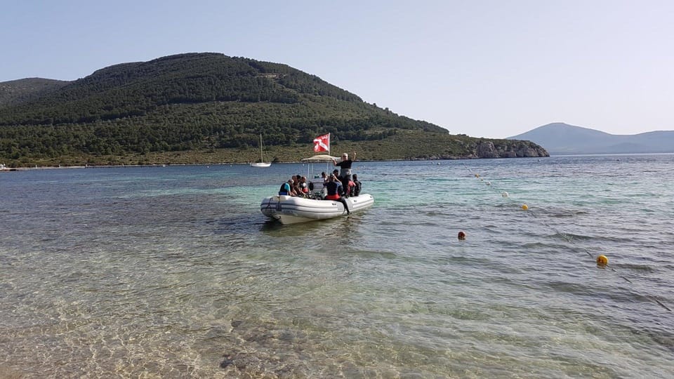 Alghero: discovery diving lesson for beginners - Authentic Experiences and Practical Tips