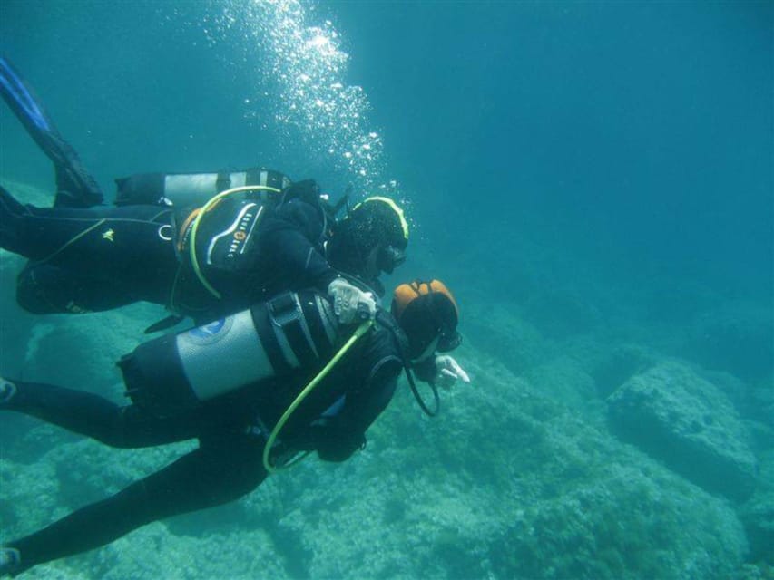Alghero: Diving for Professionals at Capo Caccia - Key Points