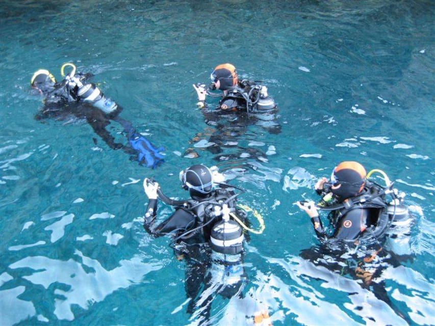 Alghero: Diving for Professionals at Capo Caccia - Diving Experience and Duration