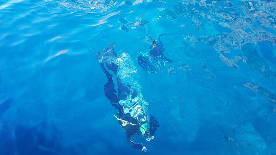 Alghero: Diving for Professionals at Capo Caccia - Customer Testimonials