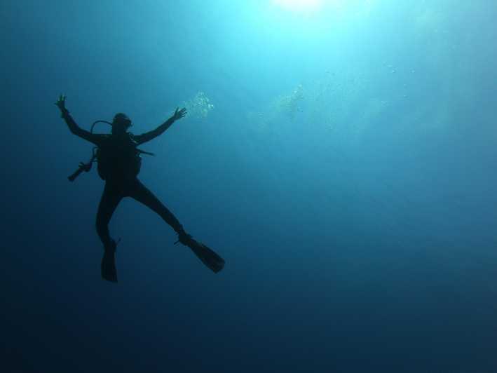 Alghero: Diving - Key Points