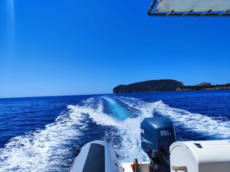 Alghero: Diving - Final Thoughts: Is It Worth It?