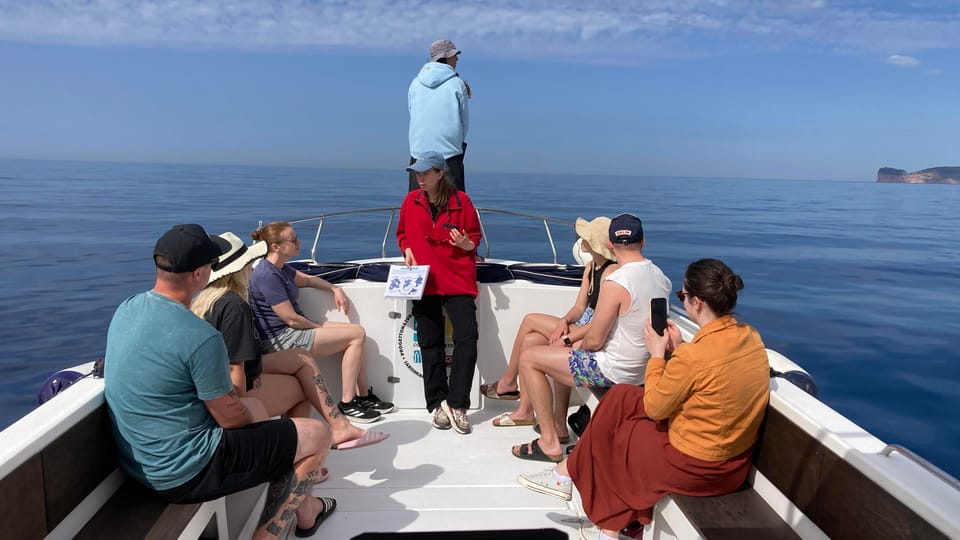 Alghero: Dolphin Watching Tour With Marine Biologists - Ask Away