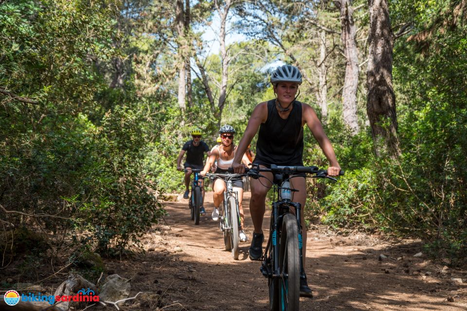 Alghero: E-Bike Tour Inside the Natural Park of Porto Conte - Top-brand E-MTB Rental